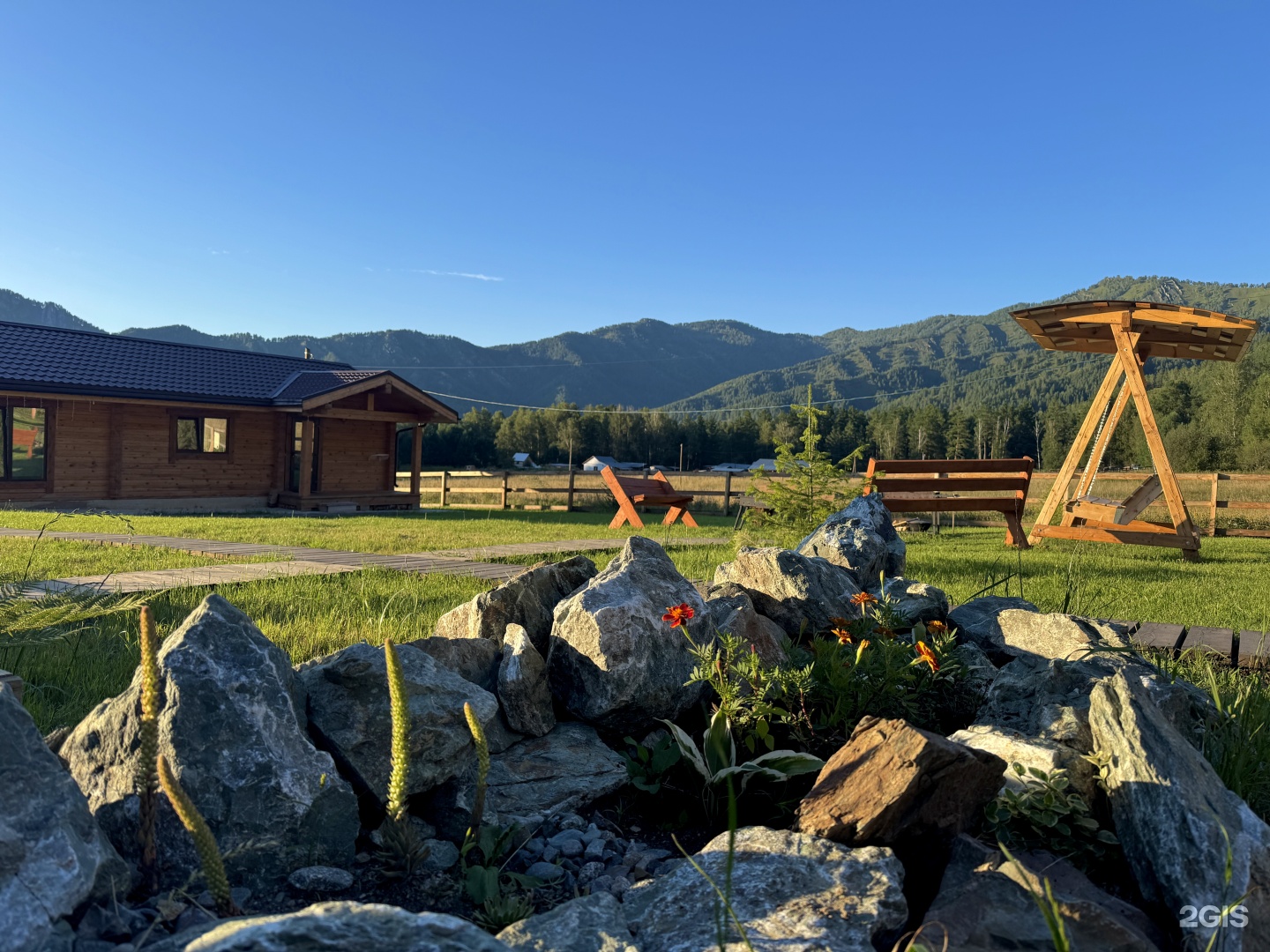 Корни - фото 6