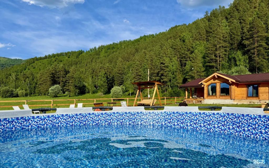 Корни - фото 10