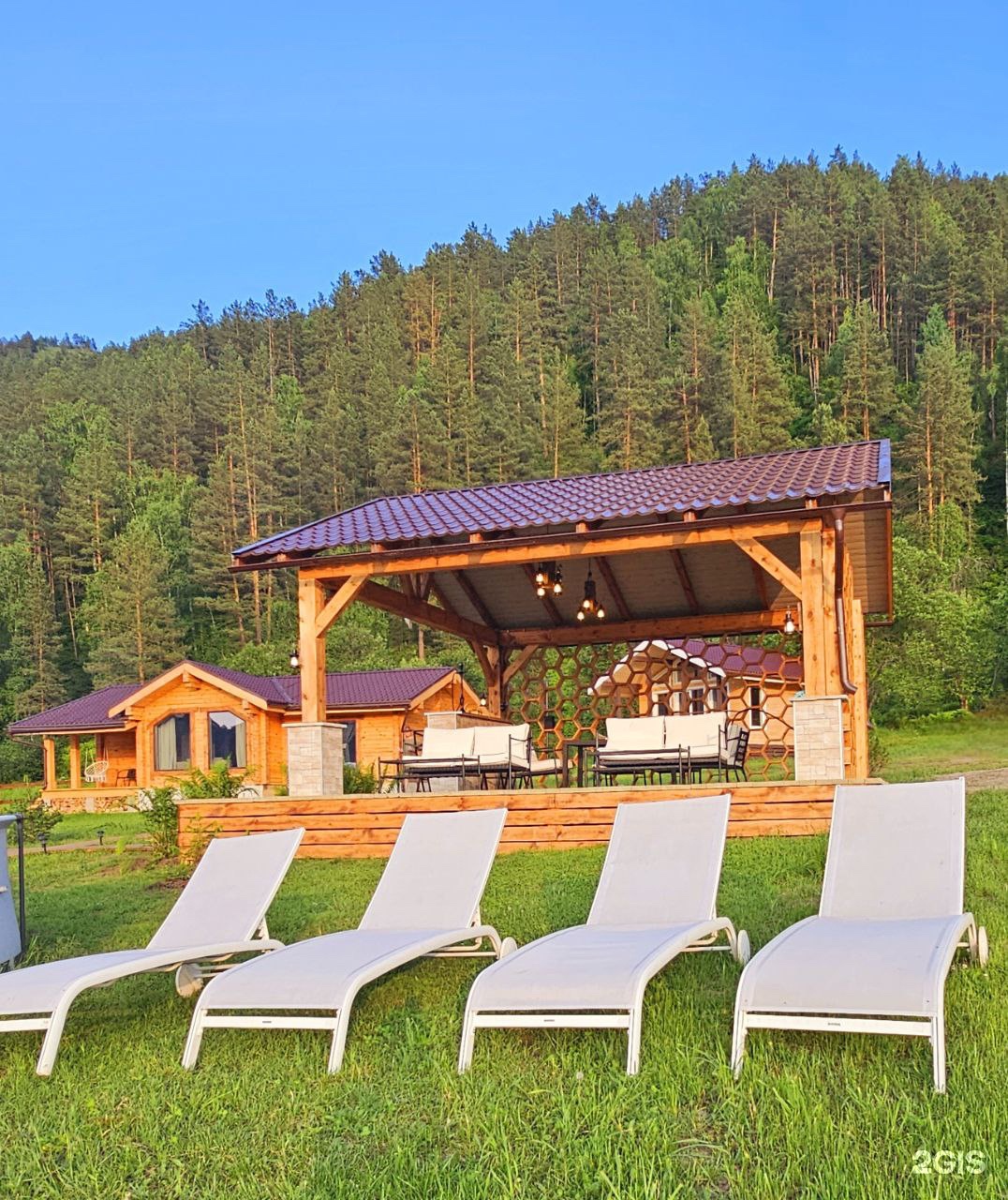 Корни - фото 14