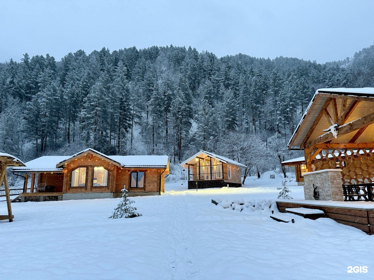 Корни - фото 18