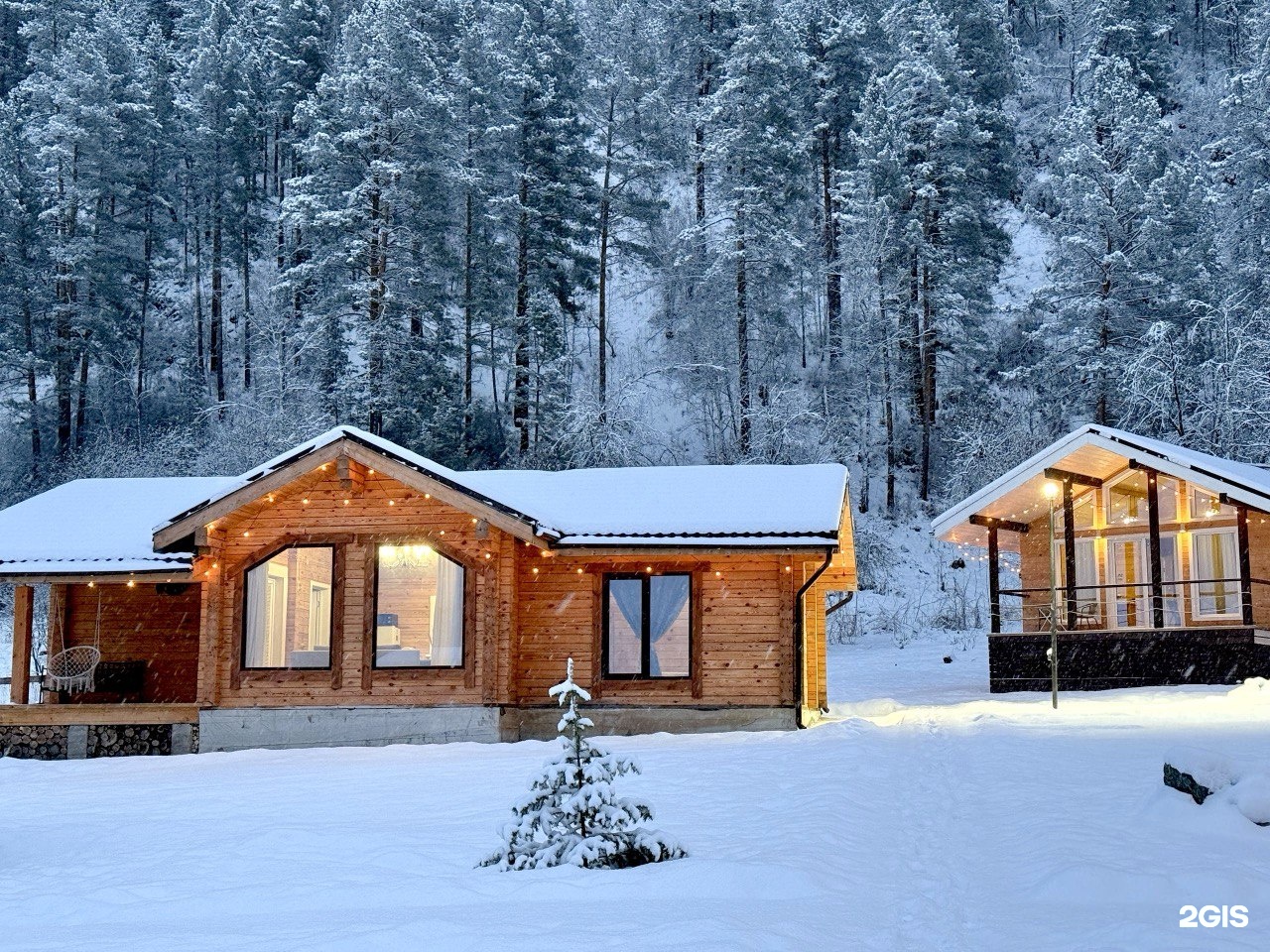 Корни - фото 22