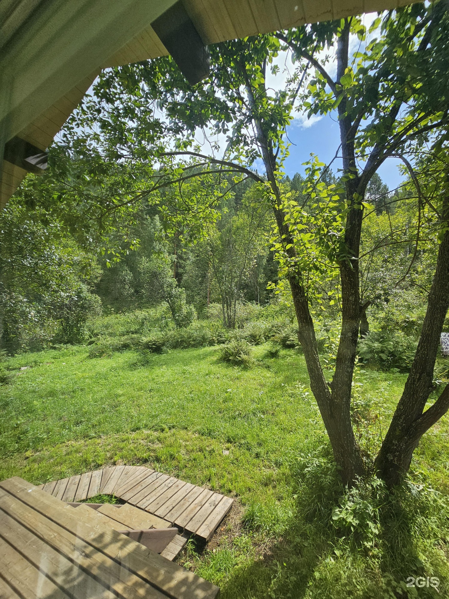 Корни - фото 38