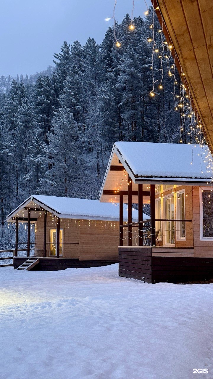 Корни - фото 44