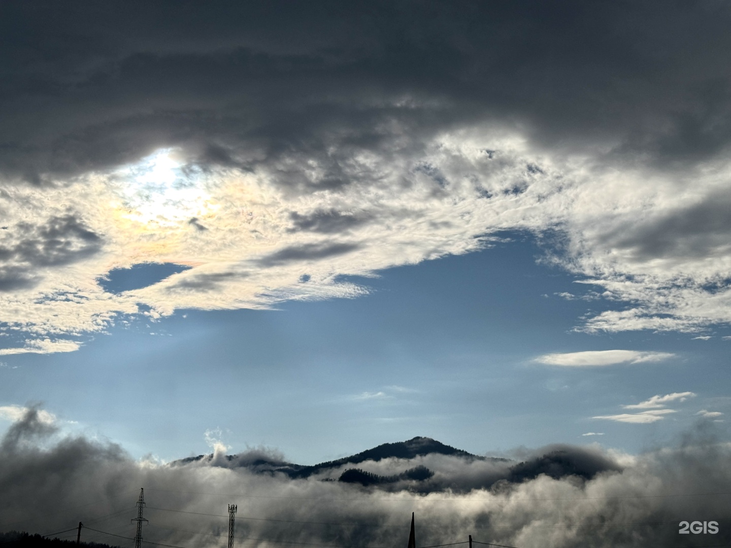 Корни - фото 46