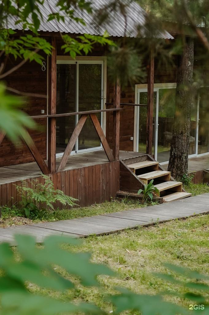 Думка - фото 1