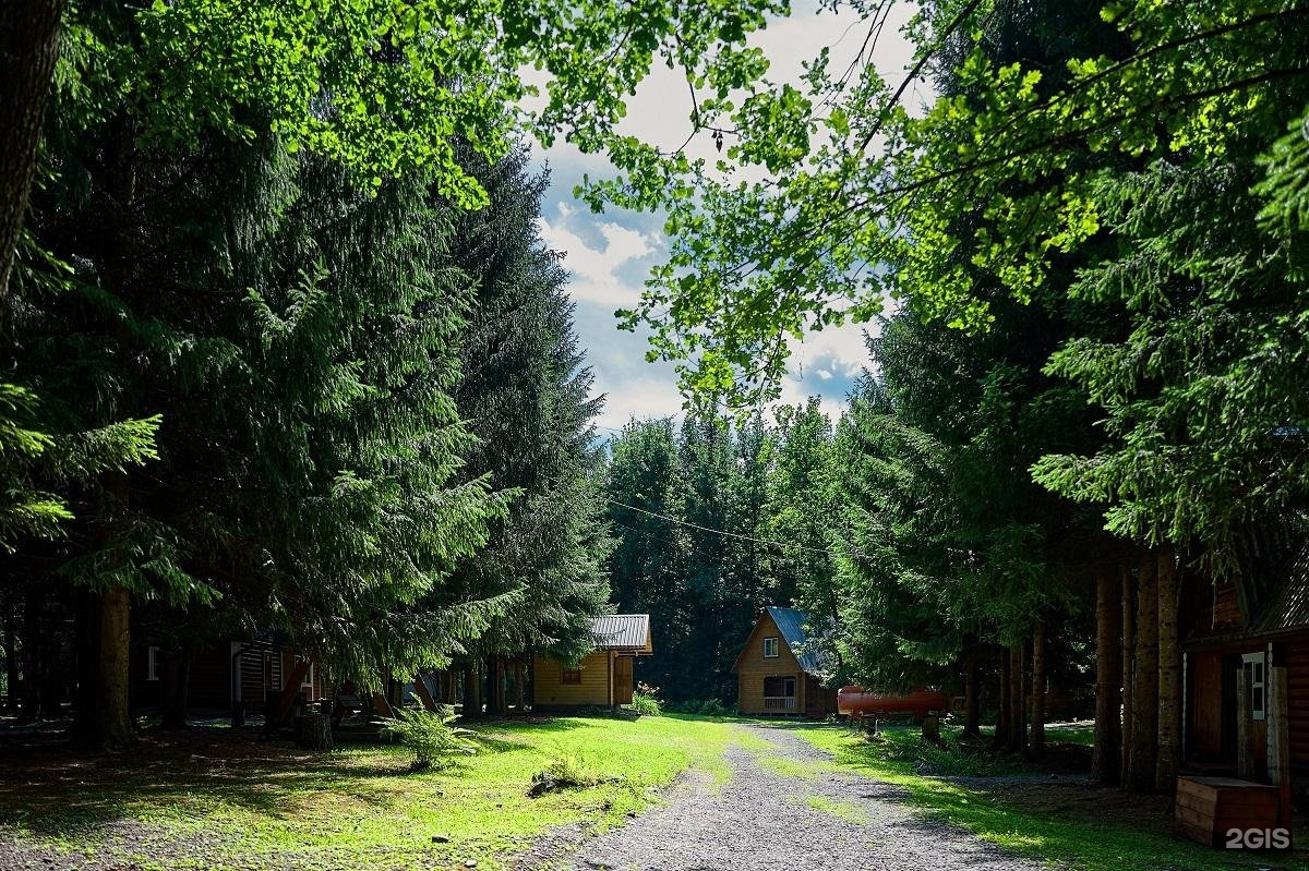 Лесовичок - фото 1