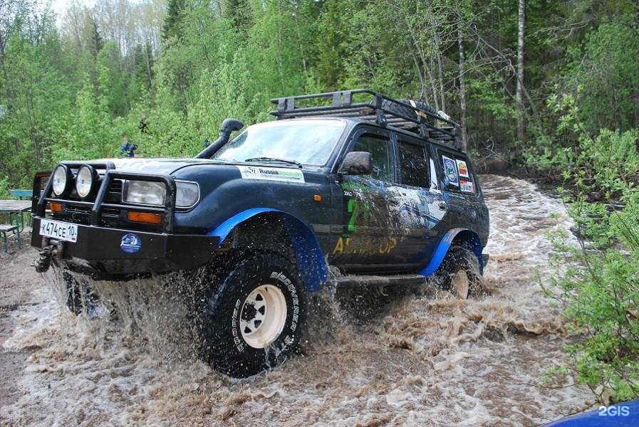 Лесовичок - фото 2