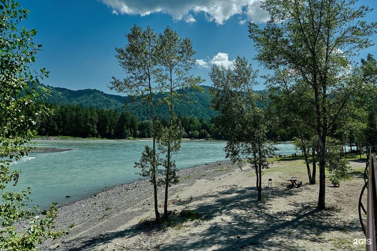 Лесовичок - фото 4