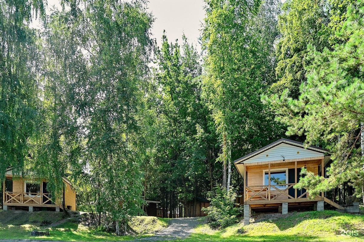 Лесовичок - фото 8