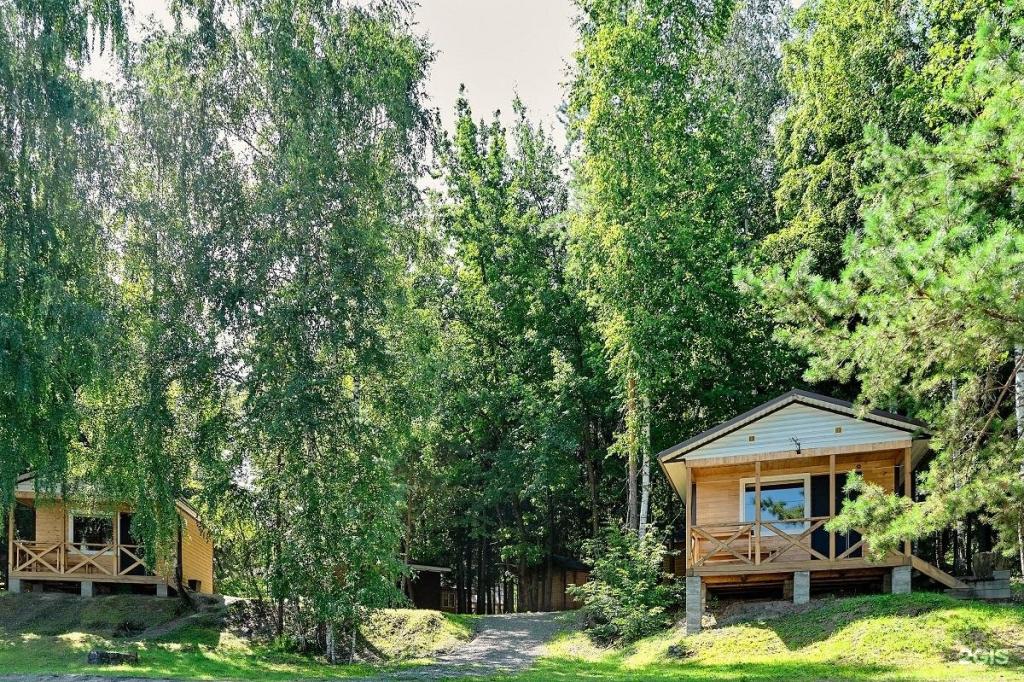 Лесовичок - фото 8