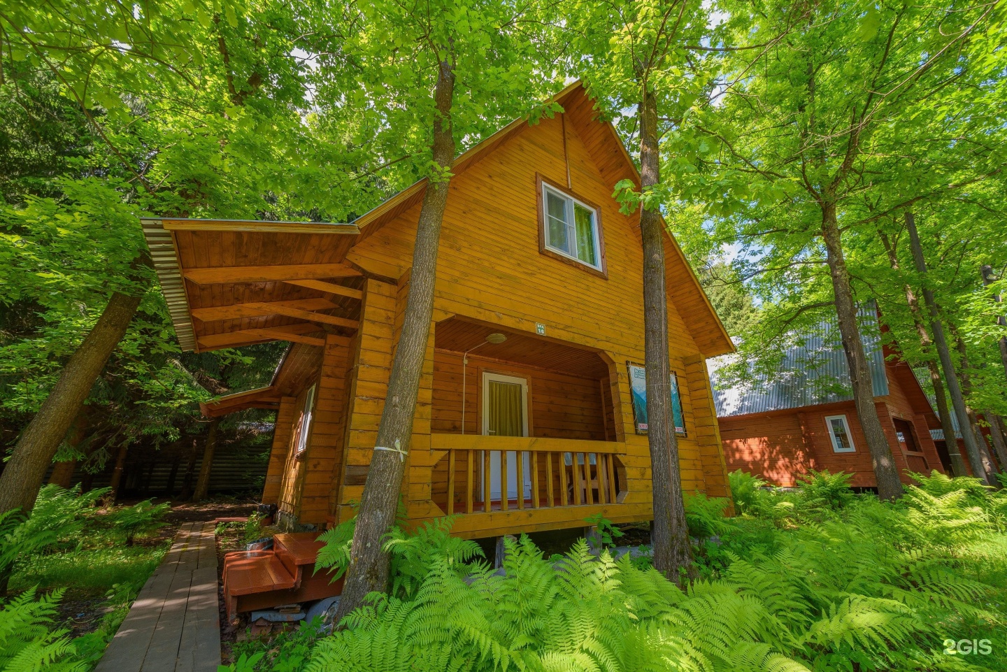 Лесовичок - фото 11