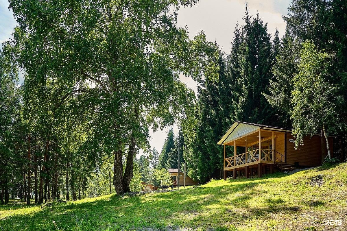 Лесовичок - фото 14