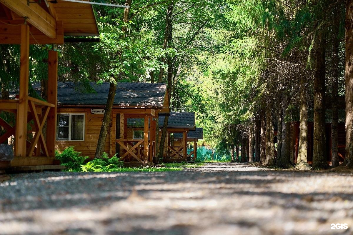 Лесовичок - фото 18