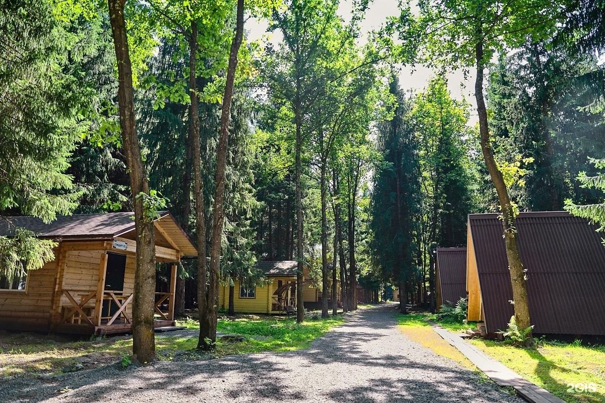 Лесовичок - фото 24