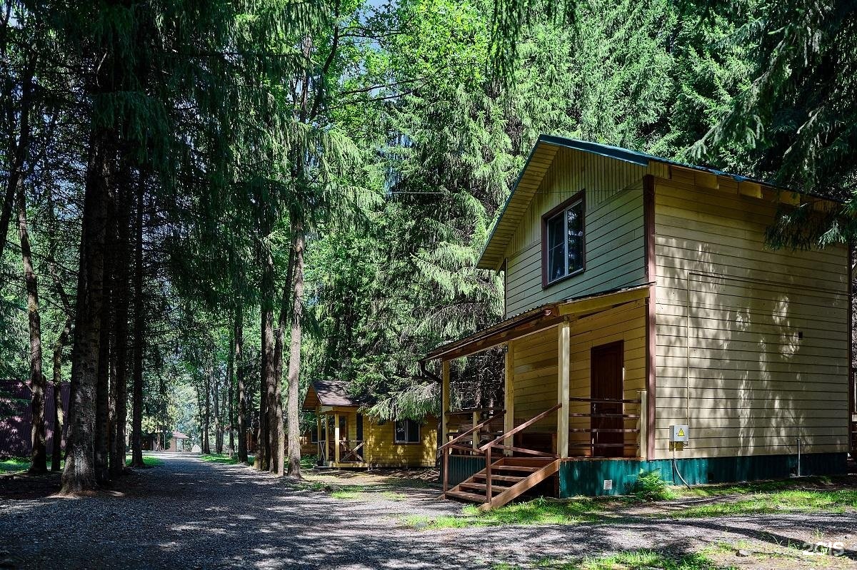 Лесовичок - фото 28