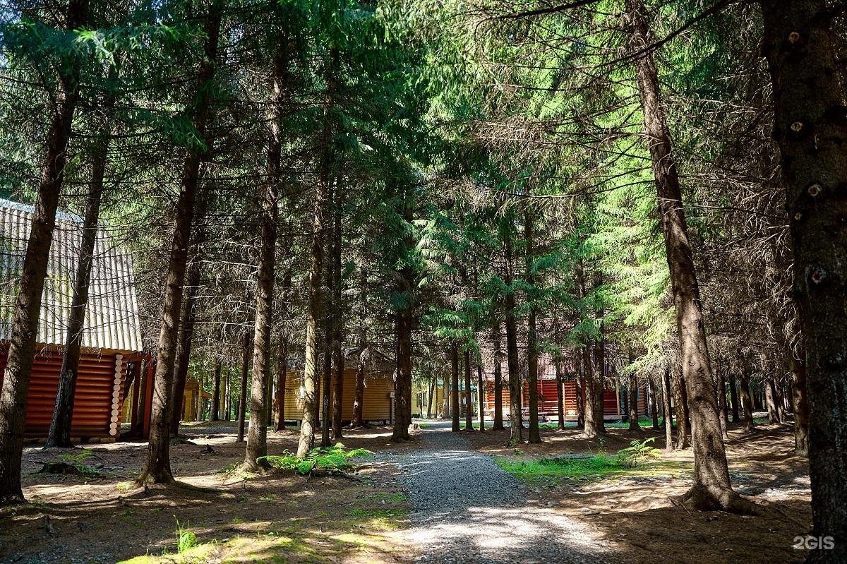 Лесовичок - фото 38