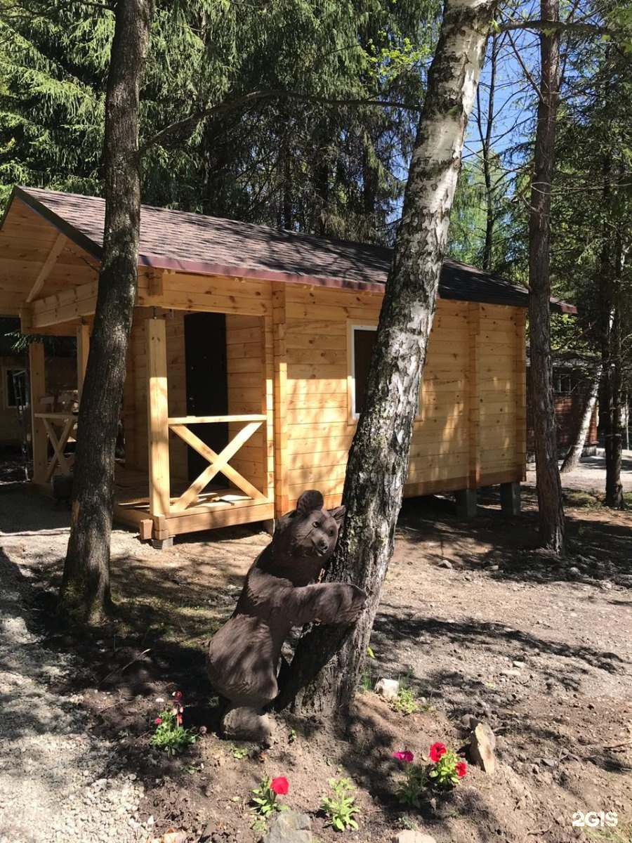 Лесовичок - фото 56