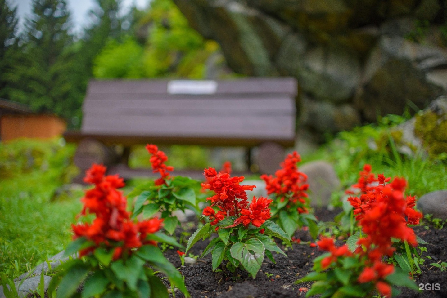 Лесовичок - фото 62