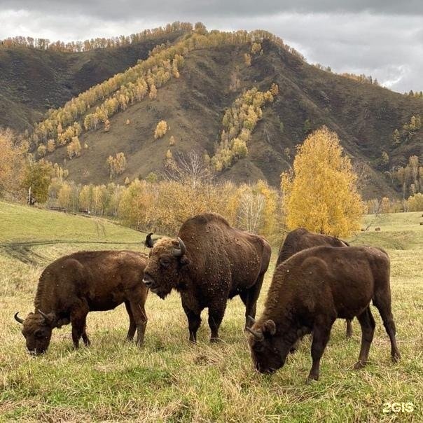 Geometrika • lounge hotel - фото 83