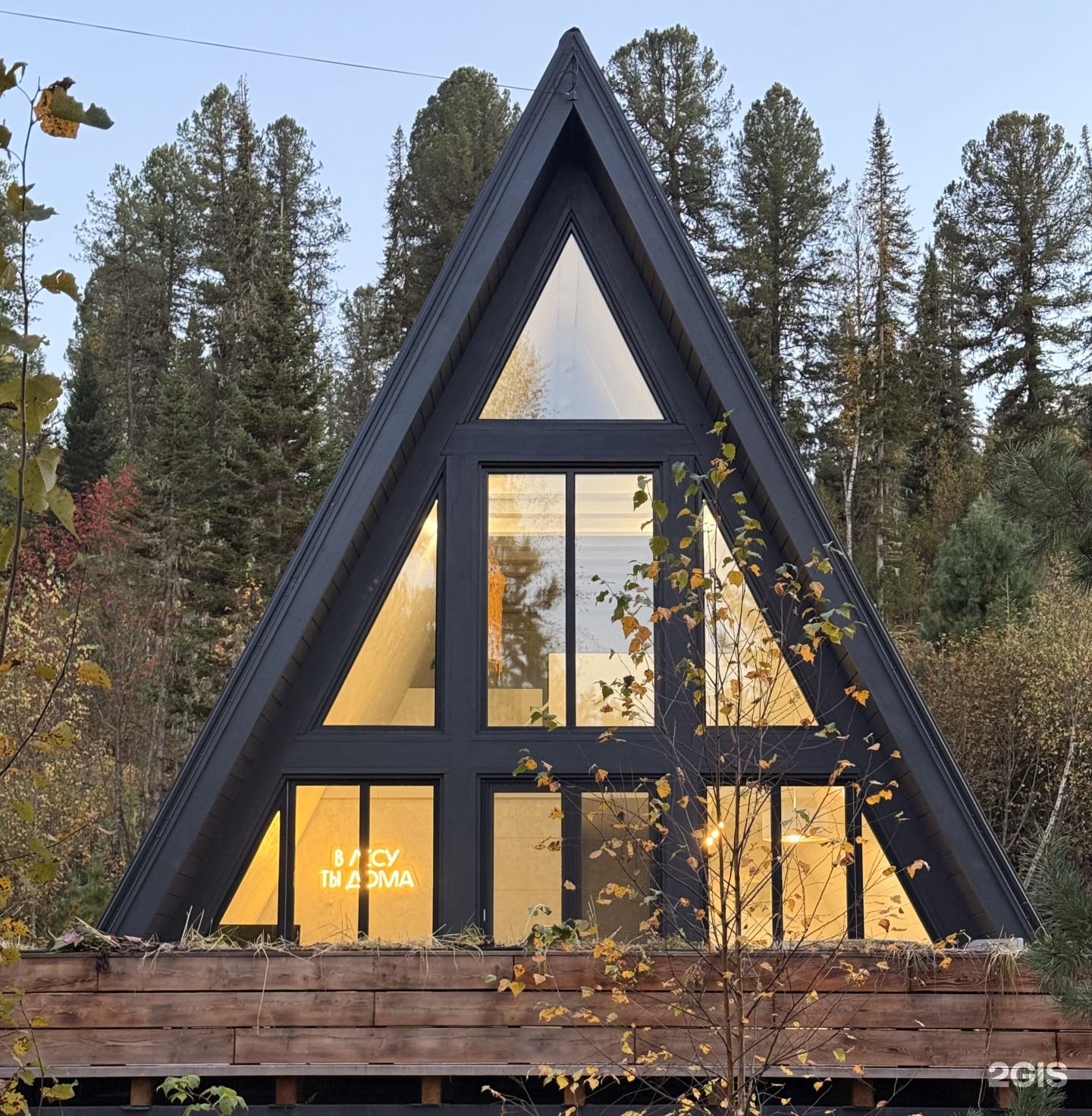 Лес и дом - фото 1