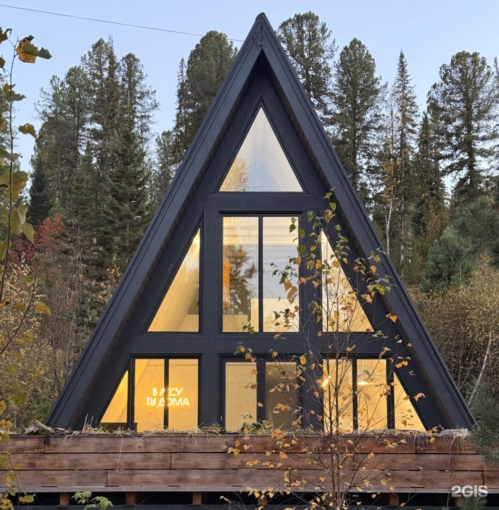 Лес и дом - фото 1