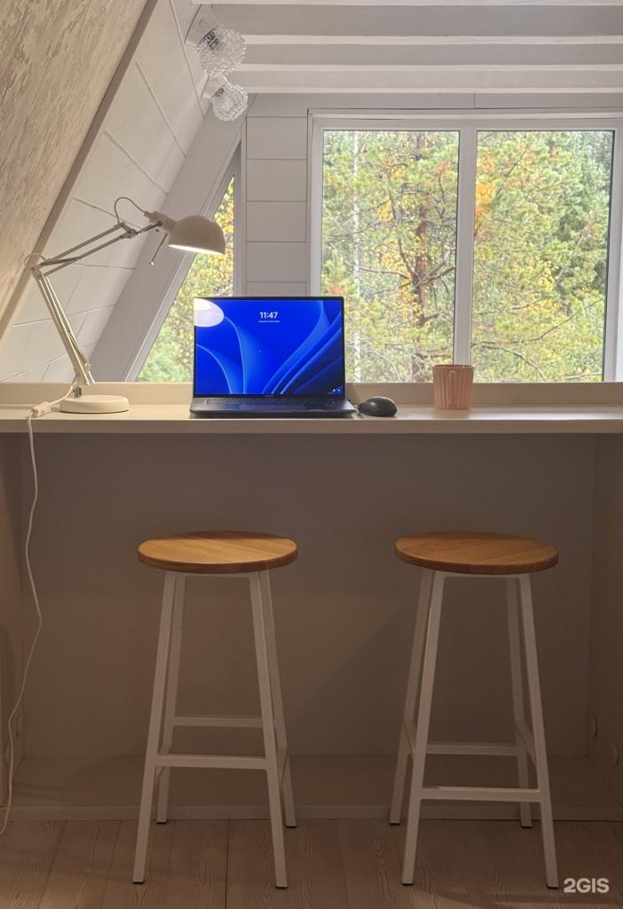 Лес и дом - фото 4