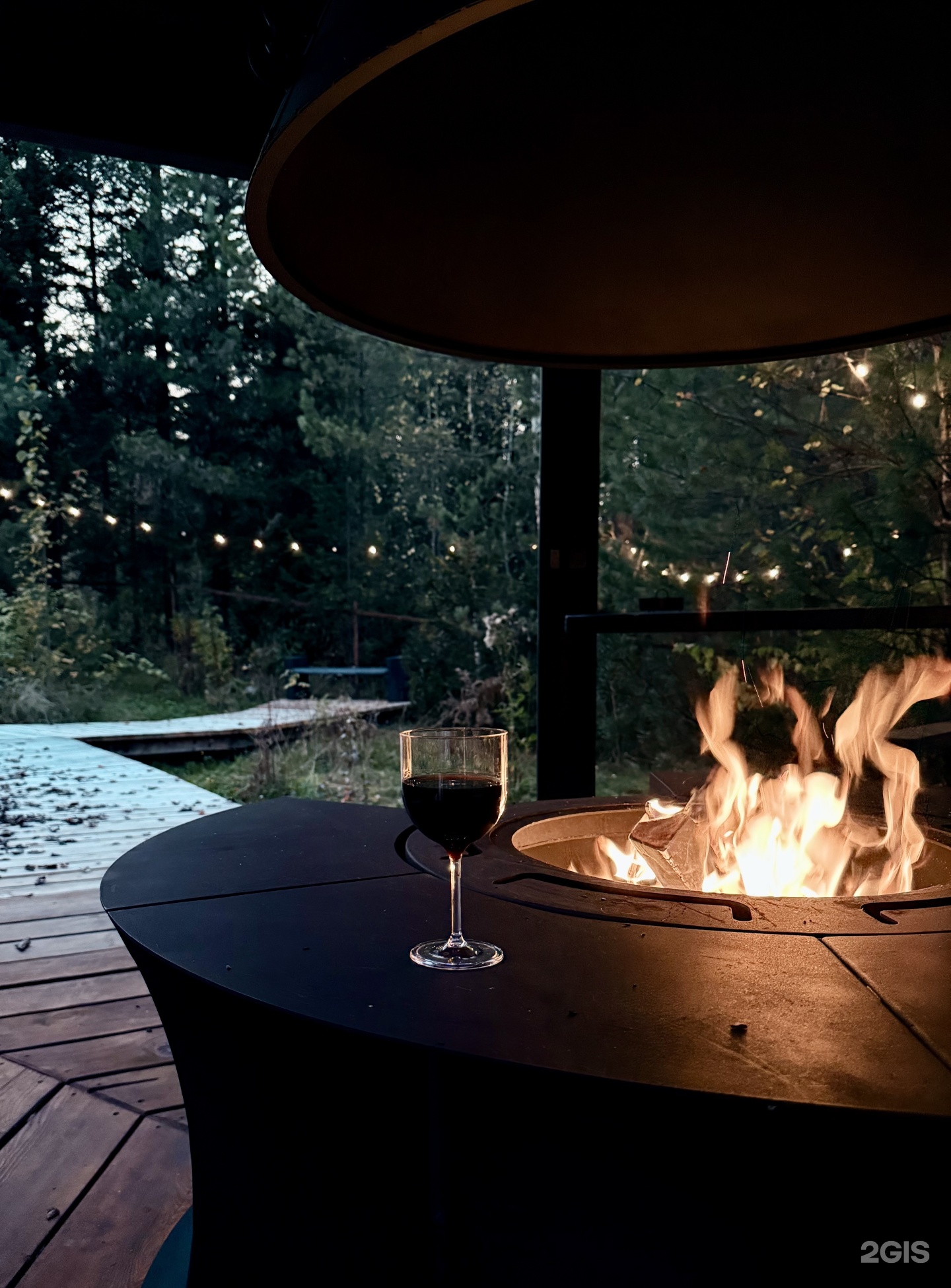 Лес и дом - фото 10