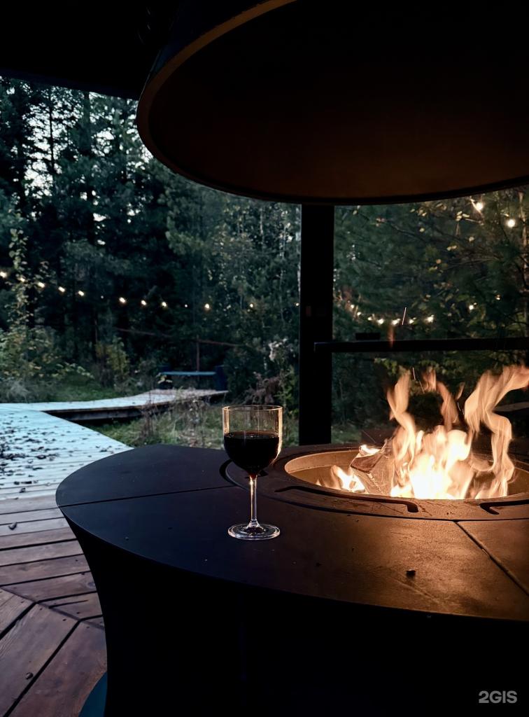 Лес и дом - фото 10