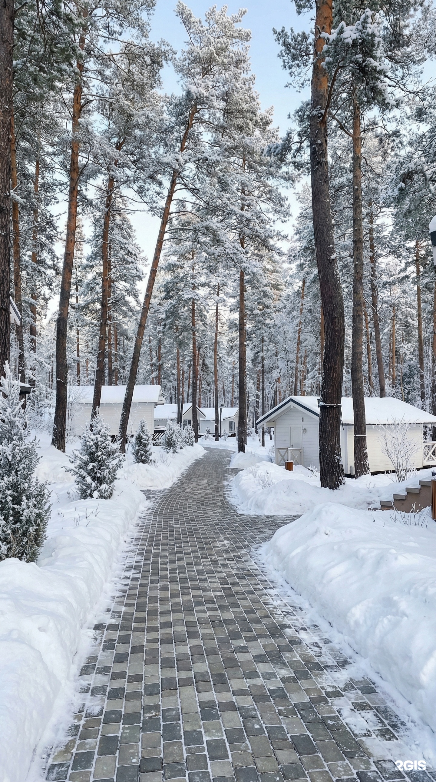 Шамбала - фото 105