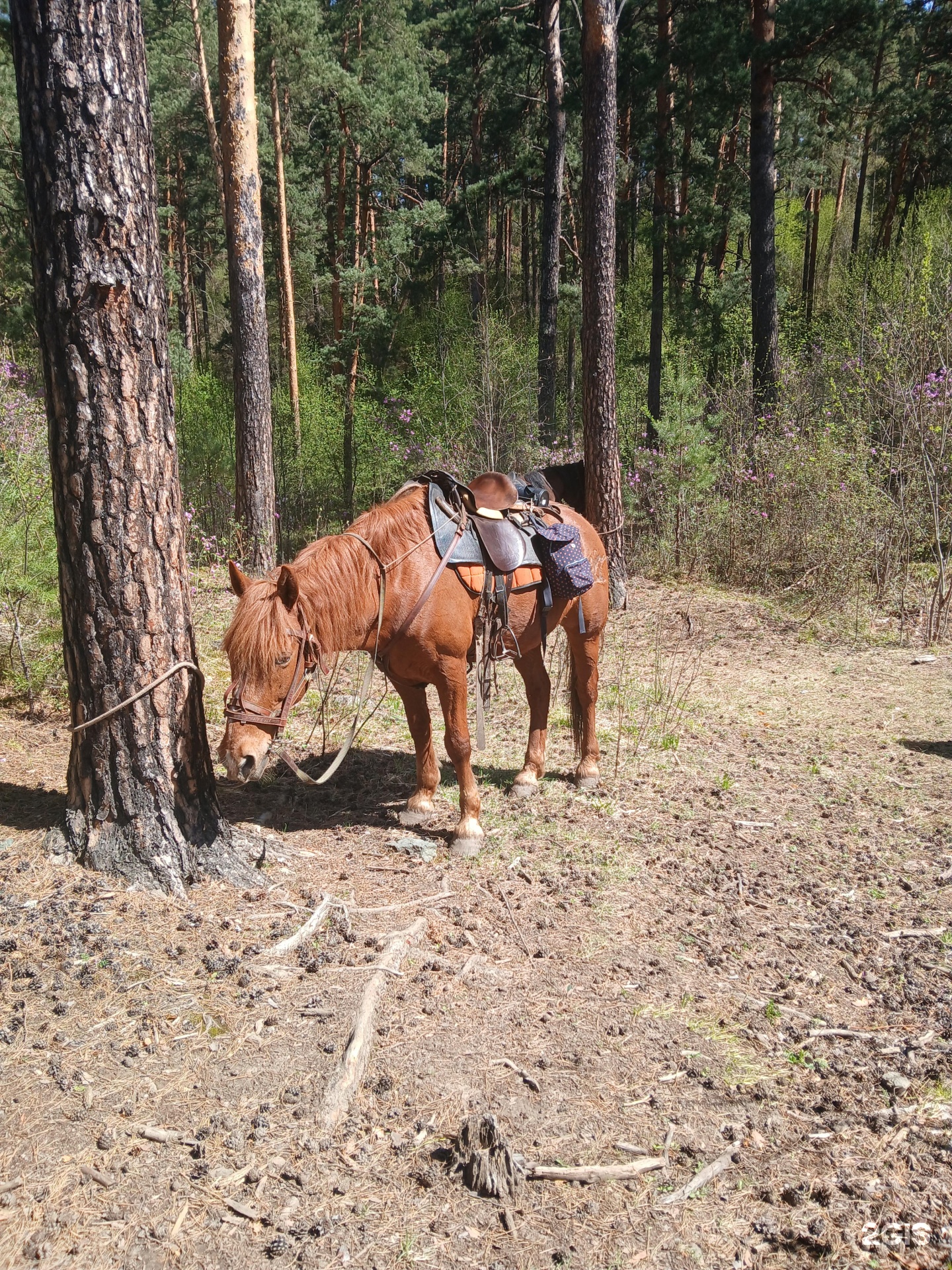 Горная Гавань - фото 48