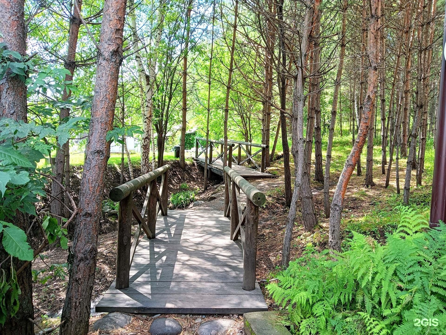 Заря - фото 11