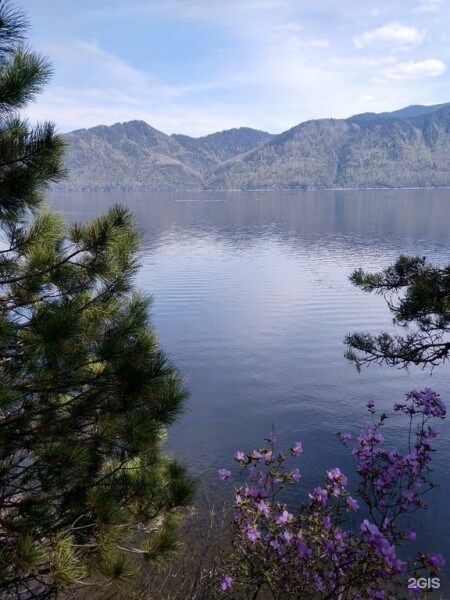 Дом Сканди - фото 10