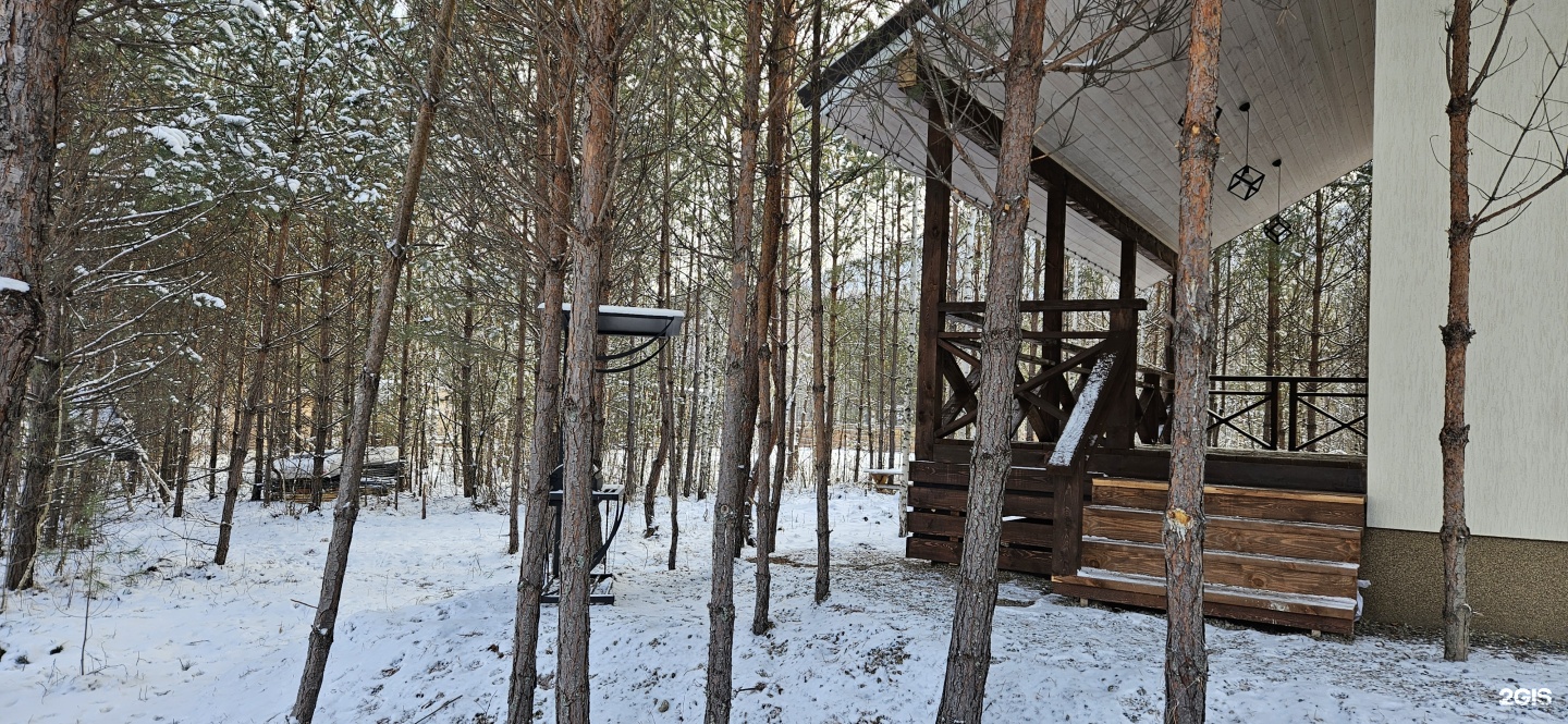 Филин - фото 19