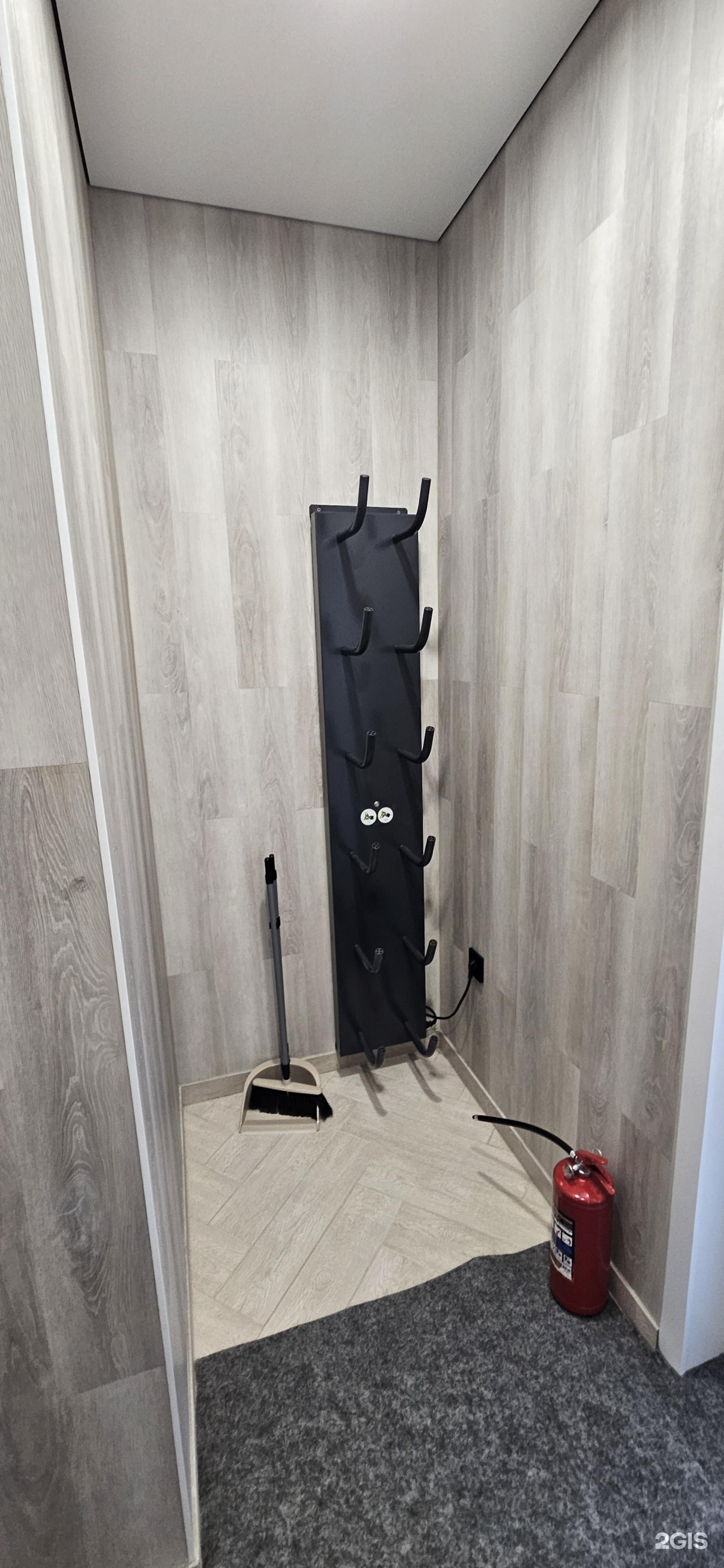 Филин - фото 33