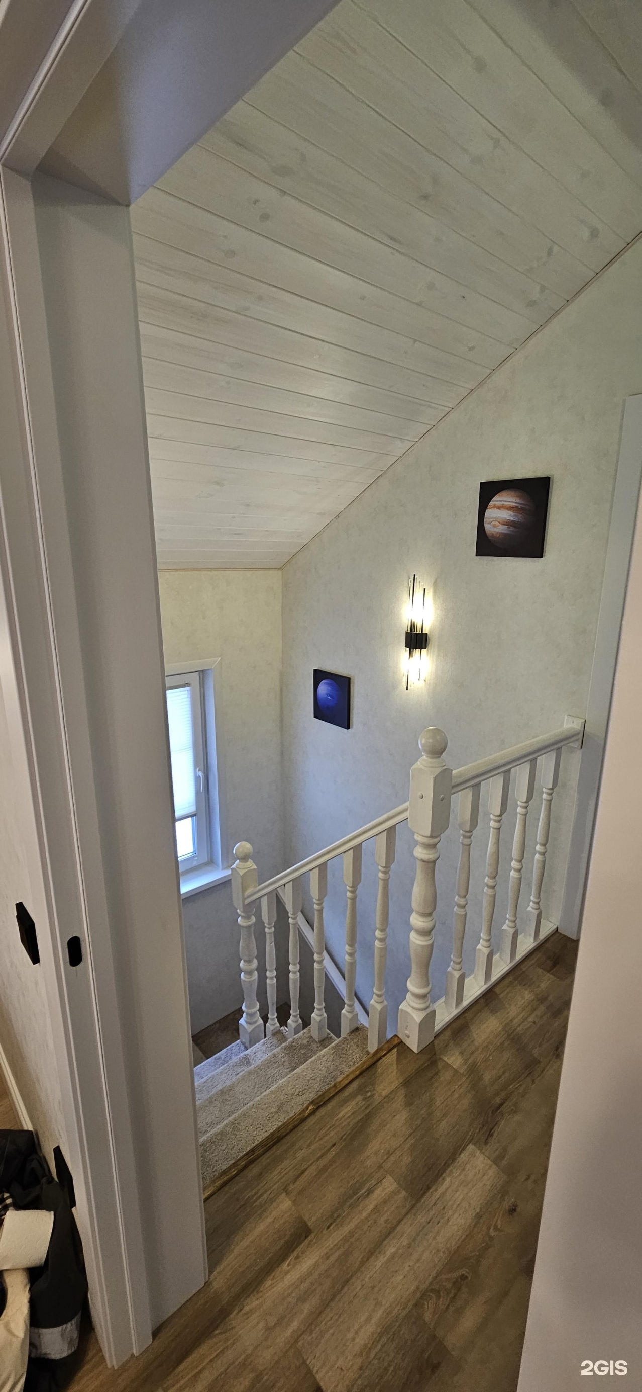 Филин - фото 35