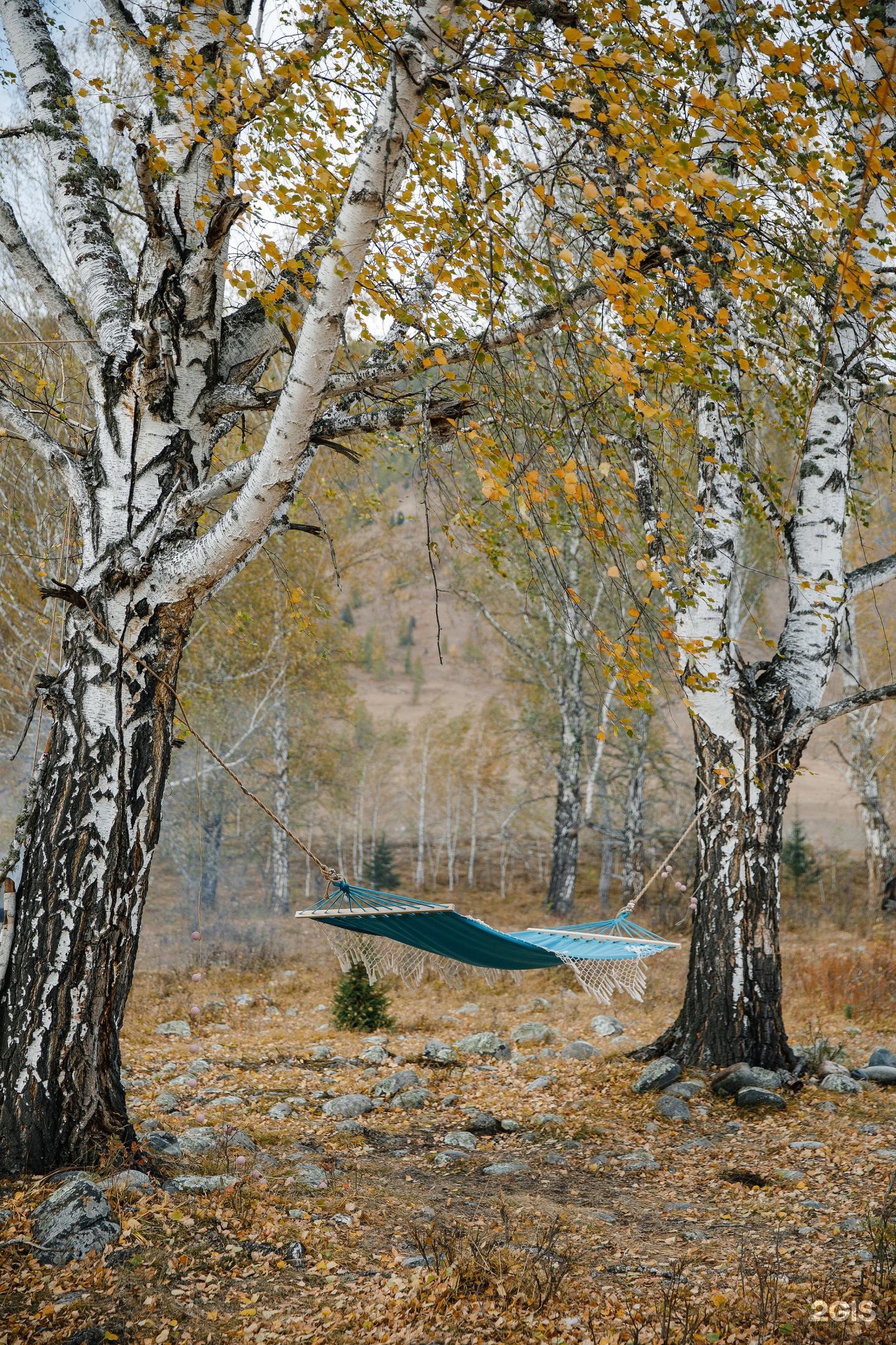 Белая гора - фото 14