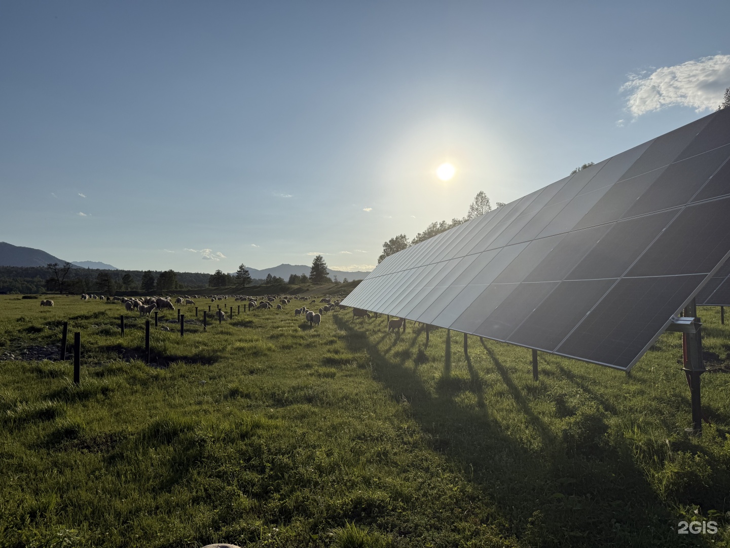 Белая гора - фото 37