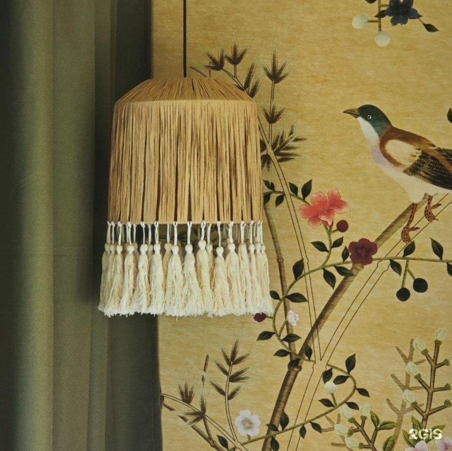 Жёлтая трясогузка - фото 1