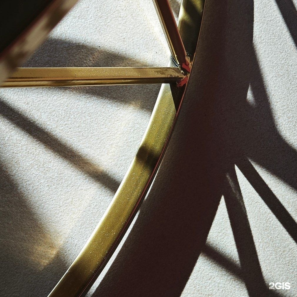 Жёлтая трясогузка - фото 4