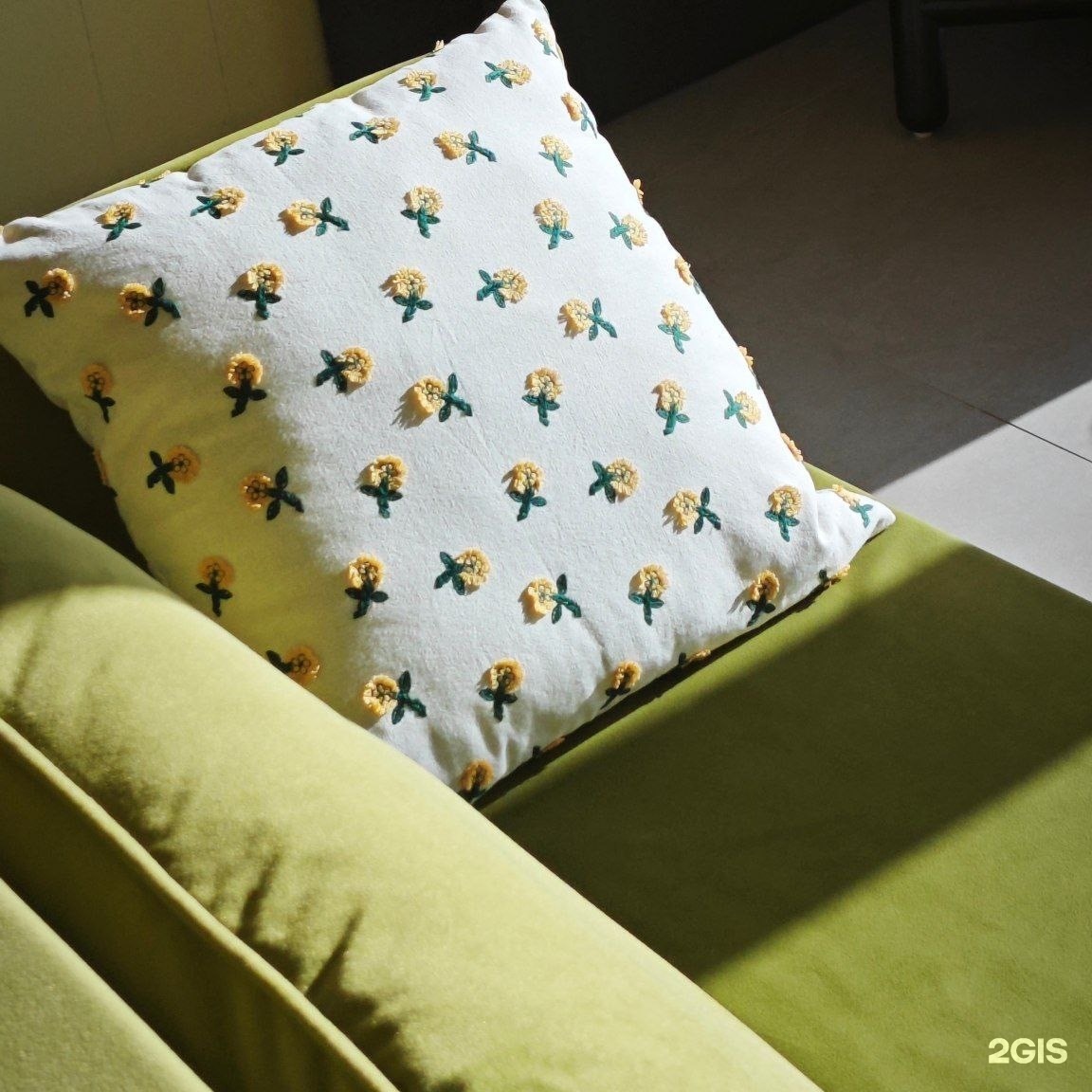 Жёлтая трясогузка - фото 9