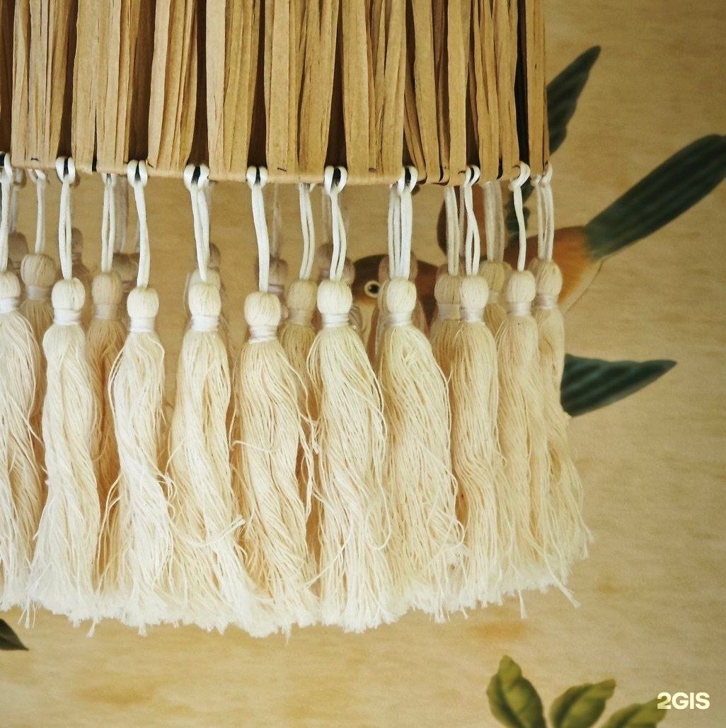 Жёлтая трясогузка - фото 10