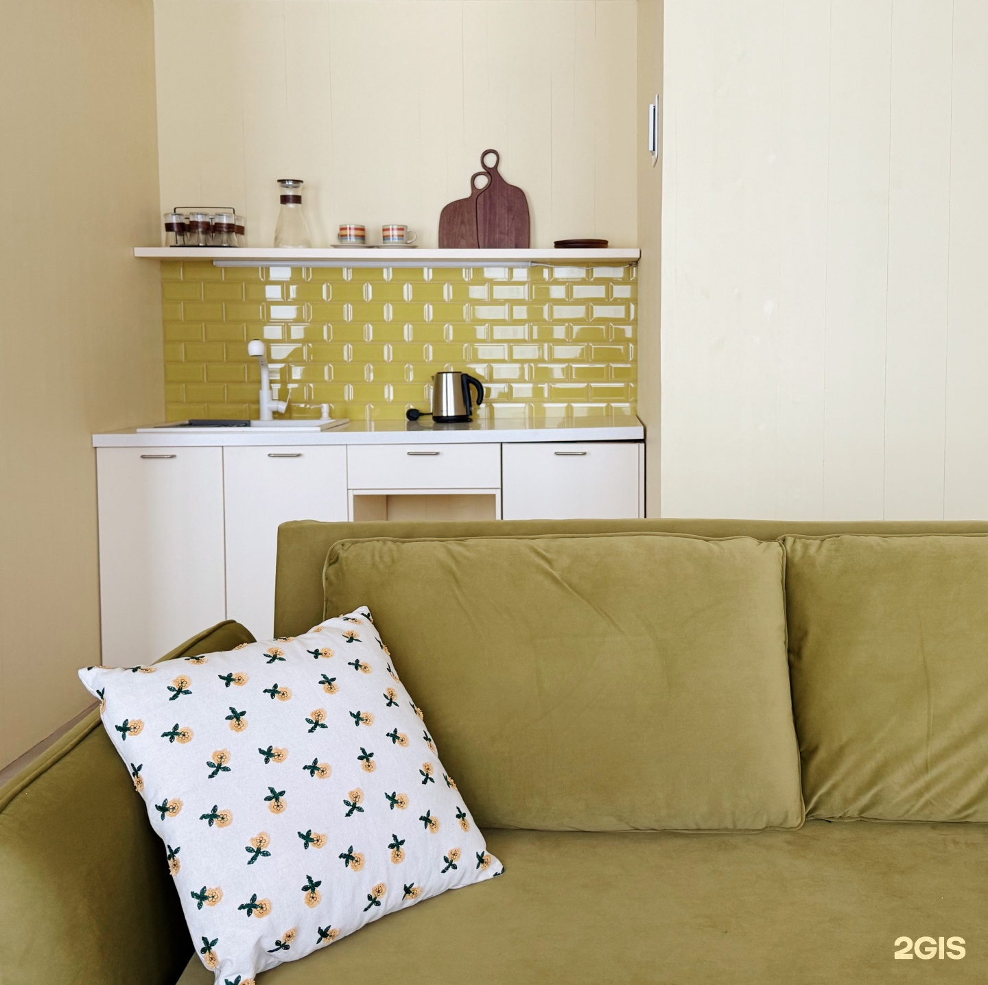 Жёлтая трясогузка - фото 11