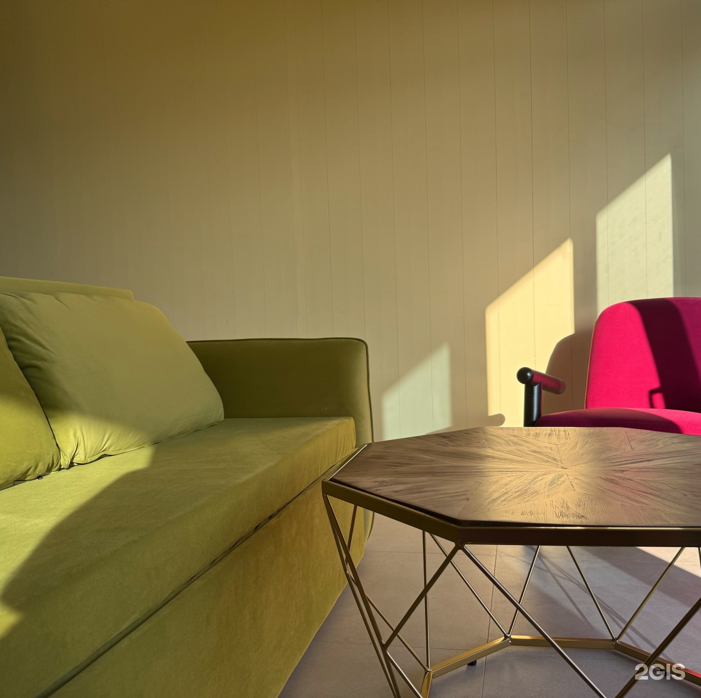 Жёлтая трясогузка - фото 13