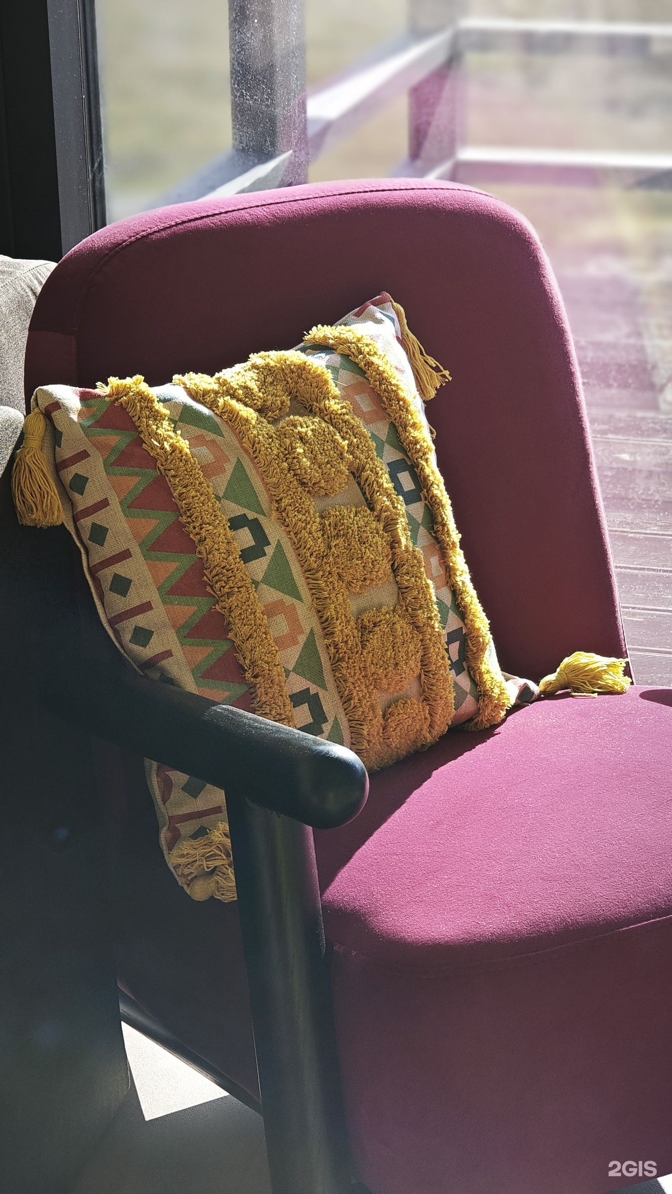 Жёлтая трясогузка - фото 16