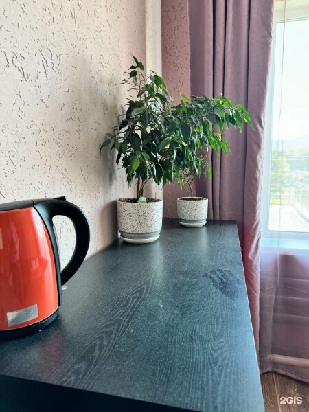 3-х местный стандарт (Усть-Кокса) - фото 20