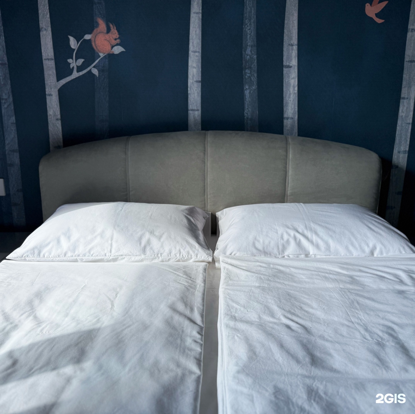 Таинственный марал - фото 12