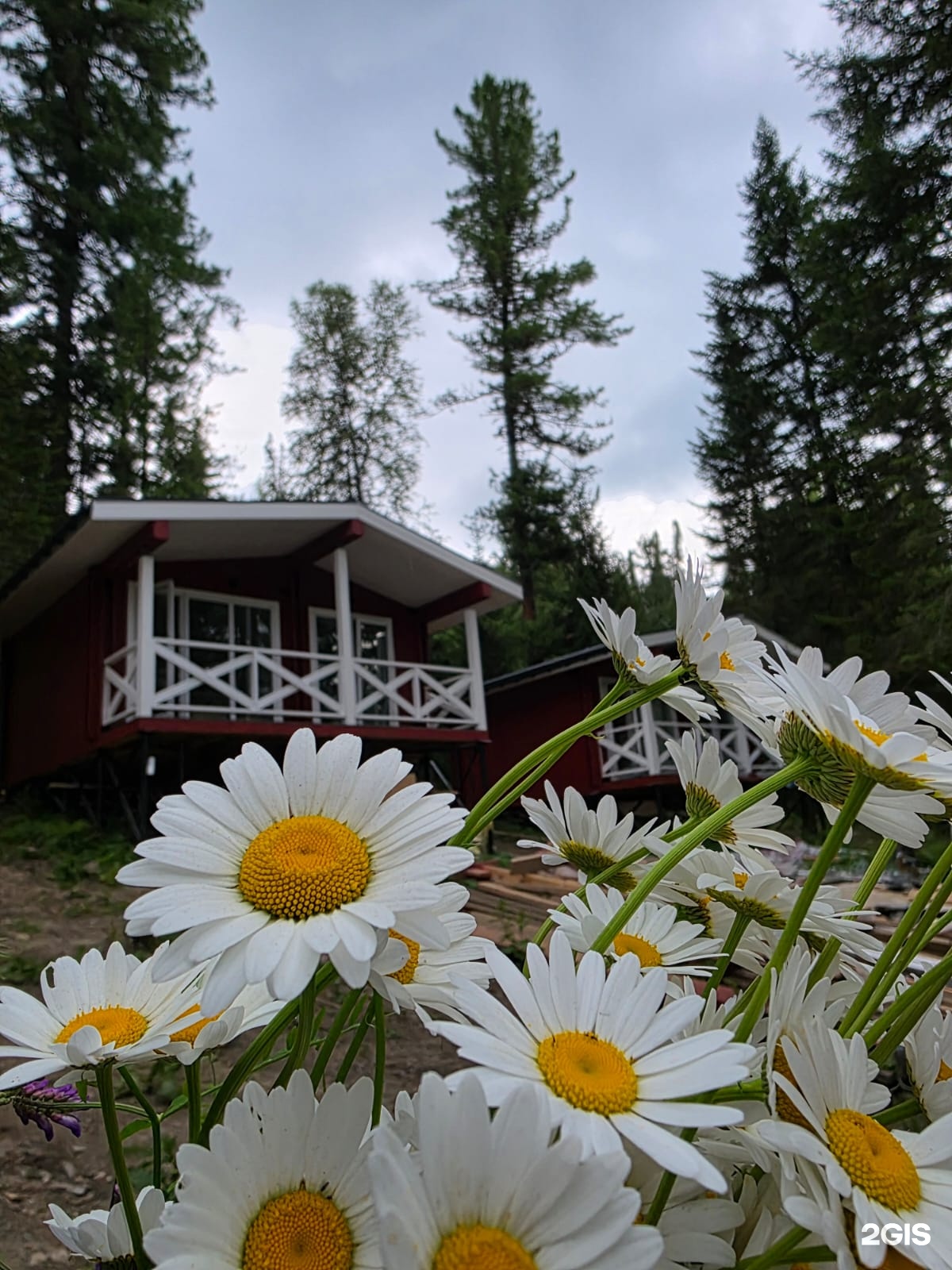 Шале Под Кедрами - фото 4