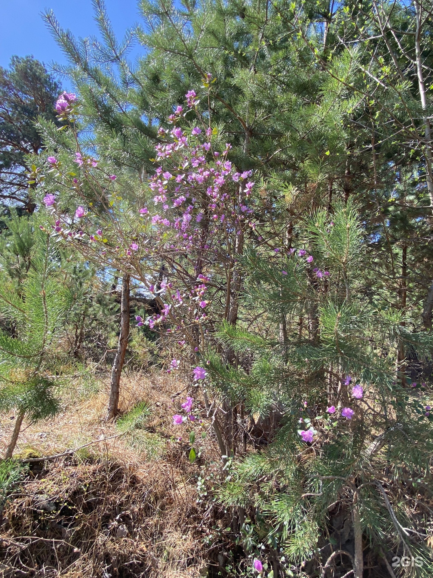 Апартаменты на Нагорная улица, 6 - фото 162