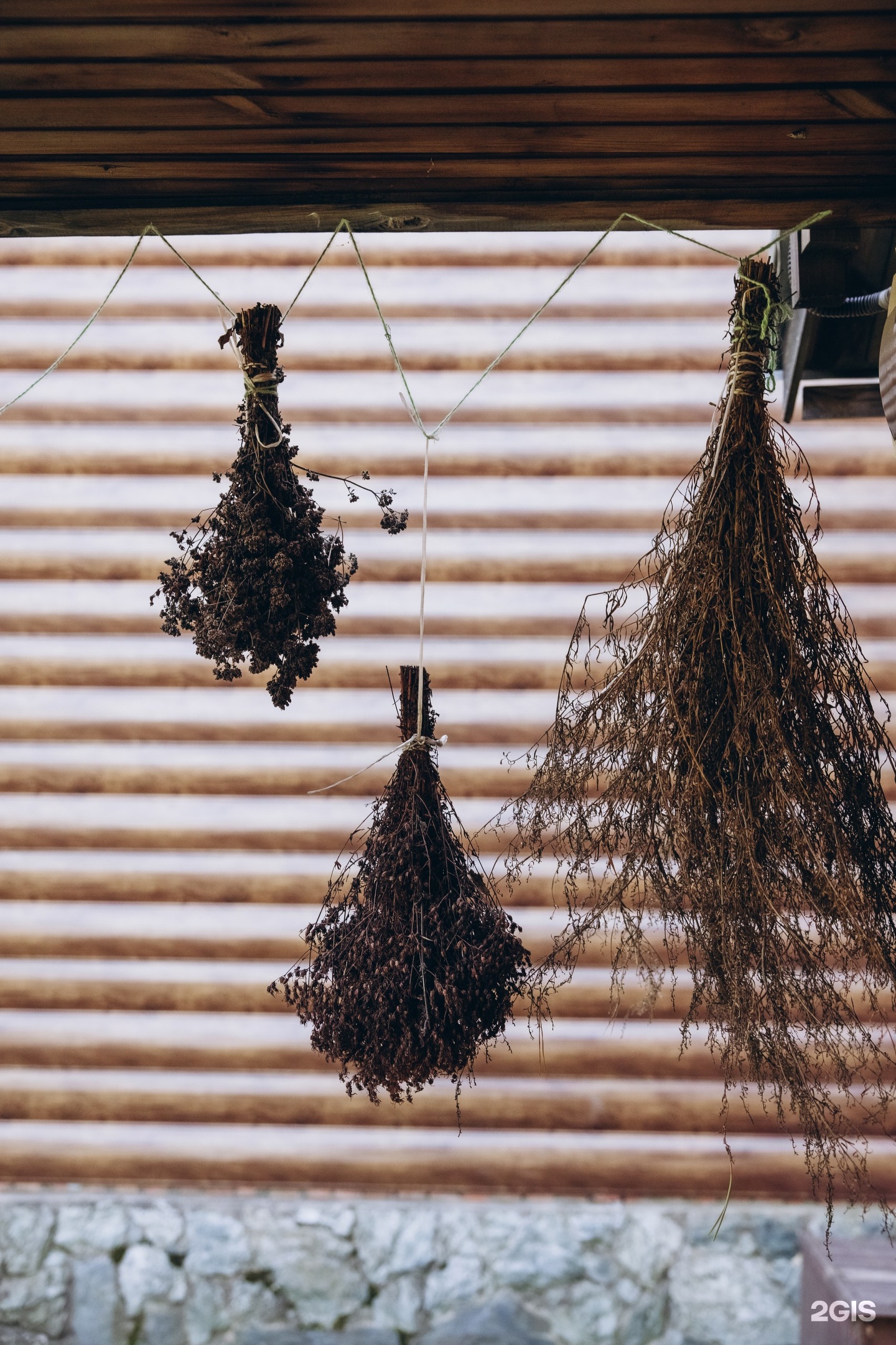 Гранд Алтай Манжерок - фото 7