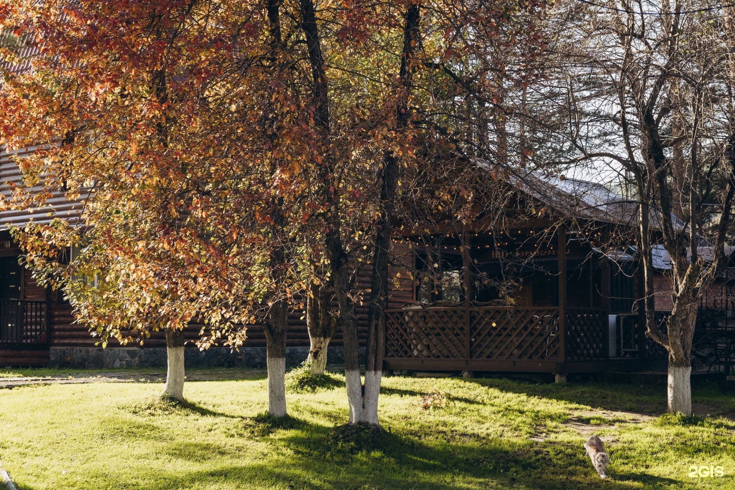 Гранд Алтай Манжерок - фото 43